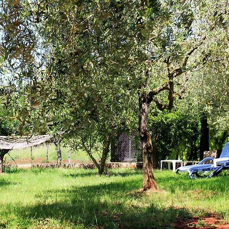 Oliven Garden Villa Rovinj Bagian luar foto
