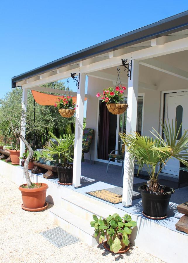 Oliven Garden Villa Rovinj Bagian luar foto
