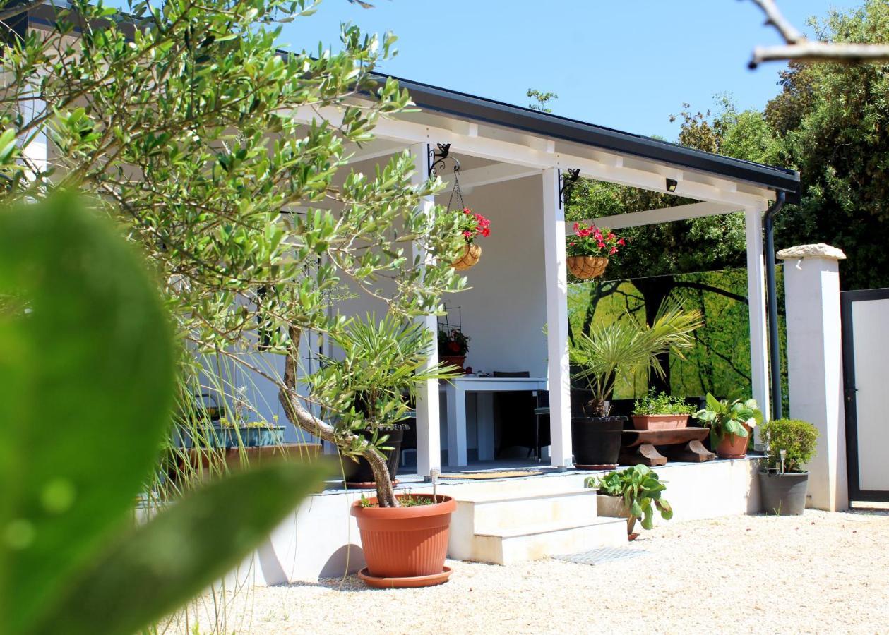 Oliven Garden Villa Rovinj Bagian luar foto