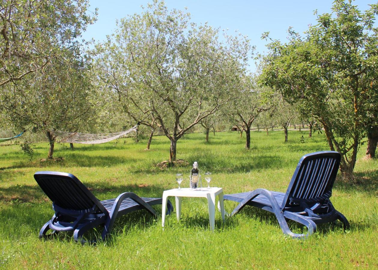 Oliven Garden Villa Rovinj Bagian luar foto