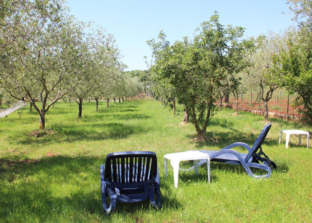 Oliven Garden Villa Rovinj Bagian luar foto